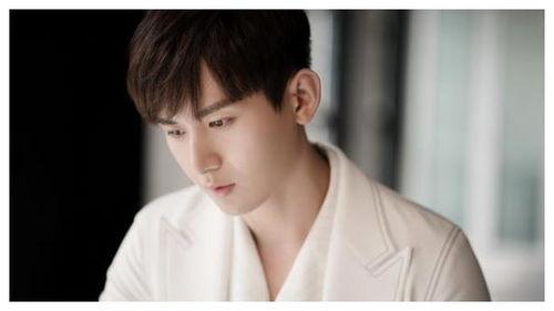 吃瓜娱乐圈成毅是谁啊